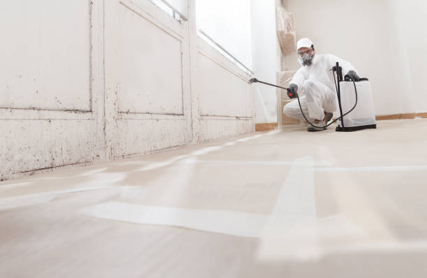 24/7 Emergency Mold Removal experts in Calvin, PA